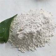 ���������V�����a�S��-ʳƷ�ù������r��