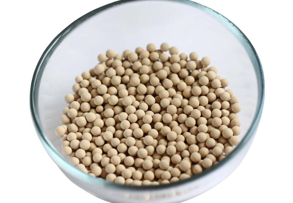 ���ӺY��������